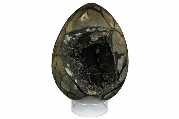 Septarian Dragon Egg Geode - Black Crystals #172840
